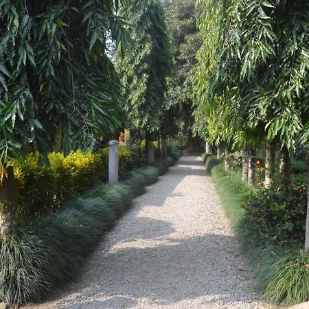 River View Jungle Camp Sauraha Δωμάτιο φωτογραφία