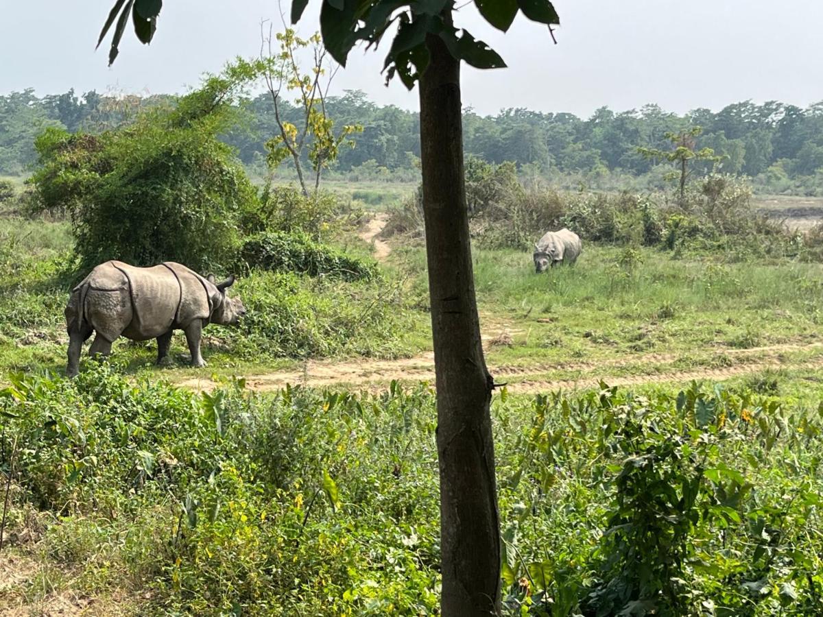River View Jungle Camp Sauraha Εξωτερικό φωτογραφία