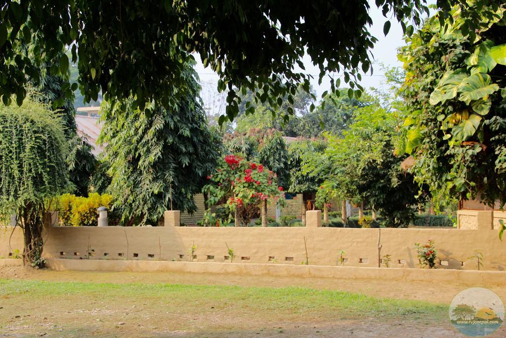 River View Jungle Camp Sauraha Εξωτερικό φωτογραφία