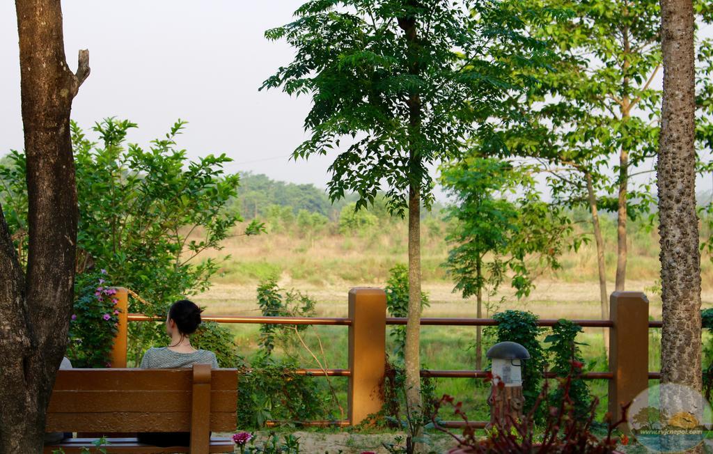 River View Jungle Camp Sauraha Εξωτερικό φωτογραφία