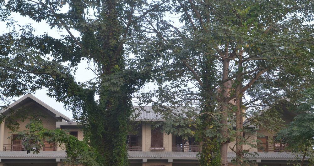River View Jungle Camp Sauraha Εξωτερικό φωτογραφία