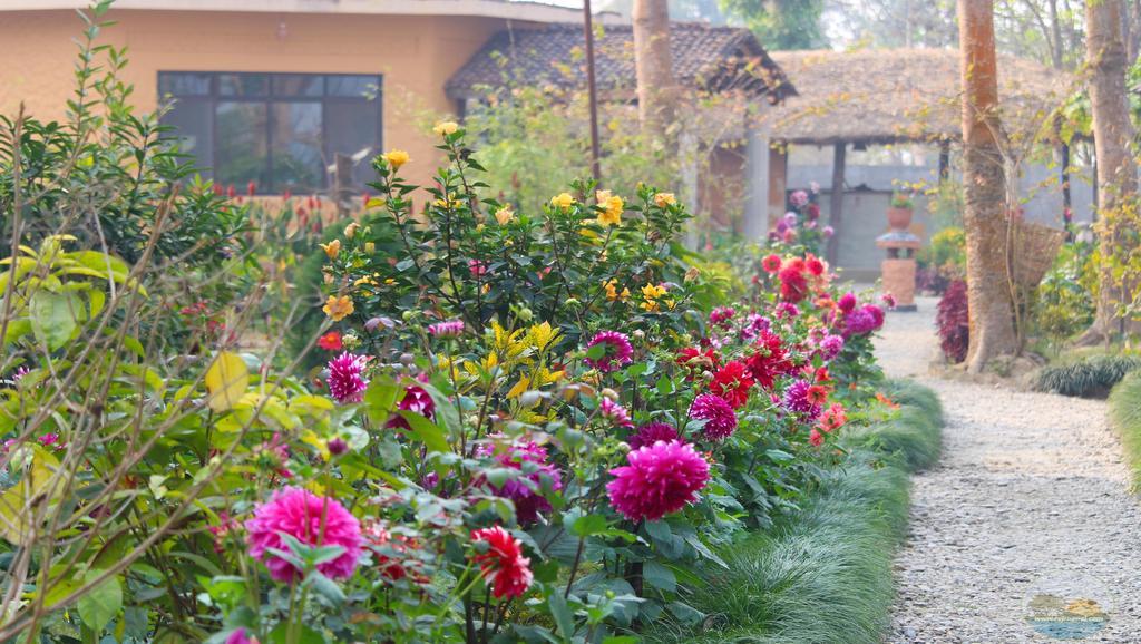 River View Jungle Camp Sauraha Εξωτερικό φωτογραφία