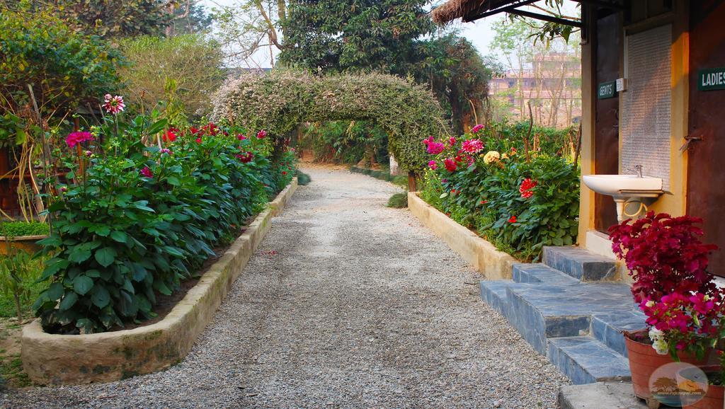 River View Jungle Camp Sauraha Εξωτερικό φωτογραφία