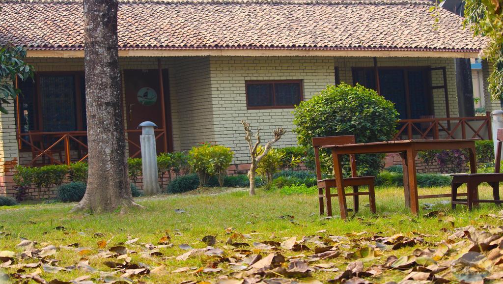 River View Jungle Camp Sauraha Εξωτερικό φωτογραφία