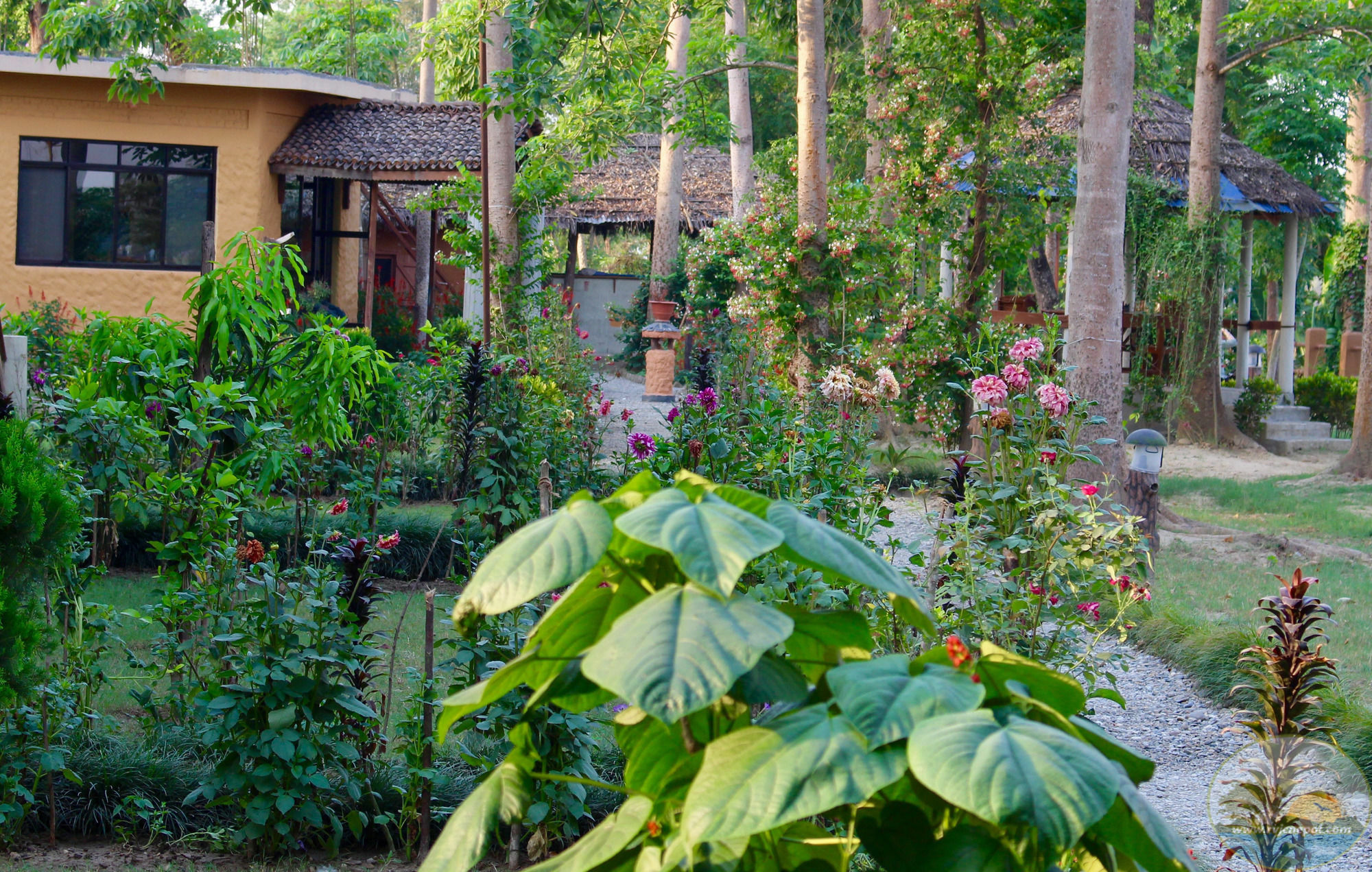 River View Jungle Camp Sauraha Εξωτερικό φωτογραφία