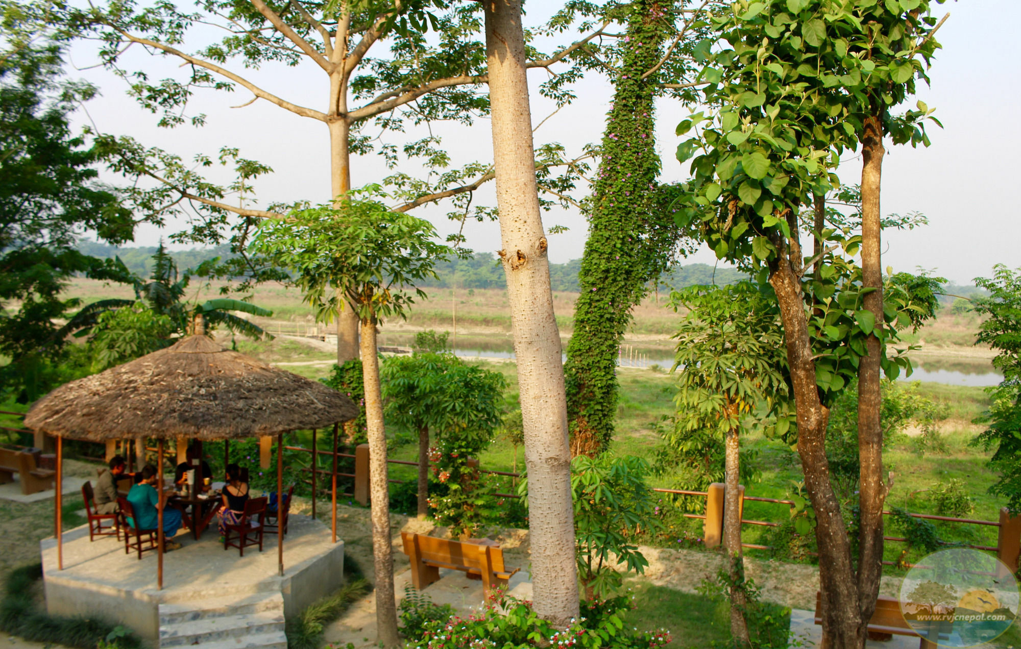 River View Jungle Camp Sauraha Εξωτερικό φωτογραφία