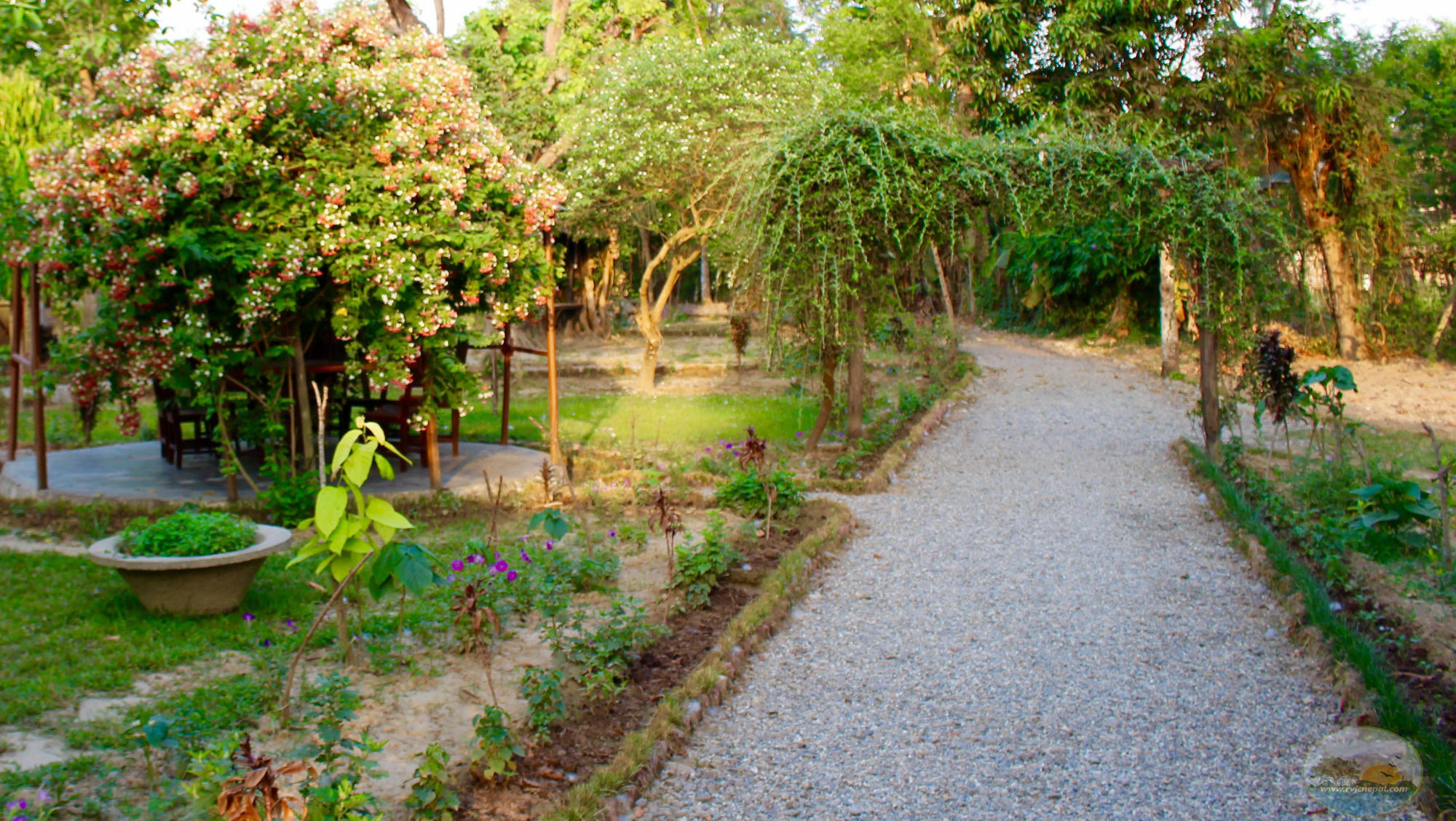 River View Jungle Camp Sauraha Εξωτερικό φωτογραφία